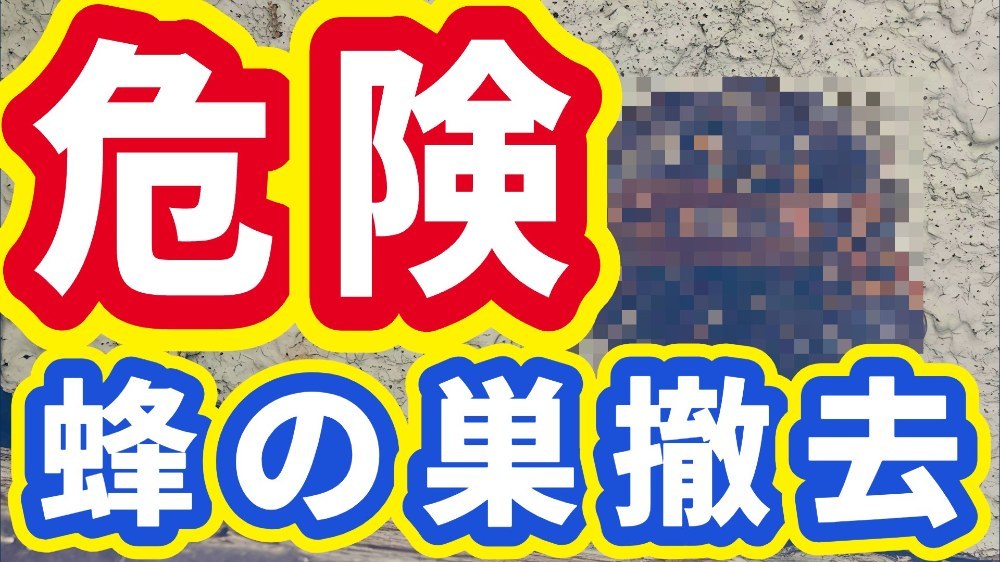 【閲覧注意】アシナガバチの巣の撤去【読むな危険】 レビュー写真