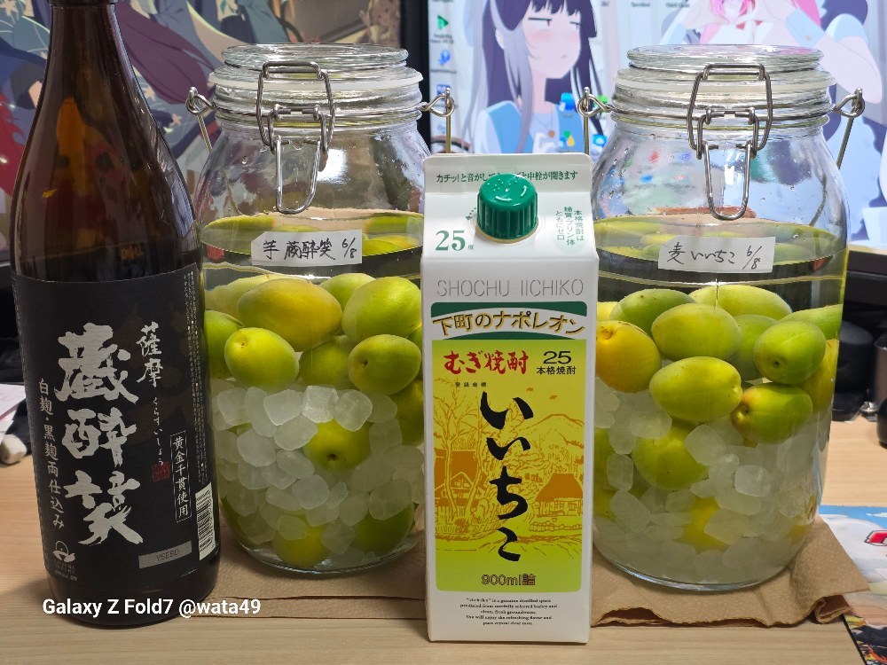 【自炊？自作？】梅酒作りを始めたお話 レビュー写真
