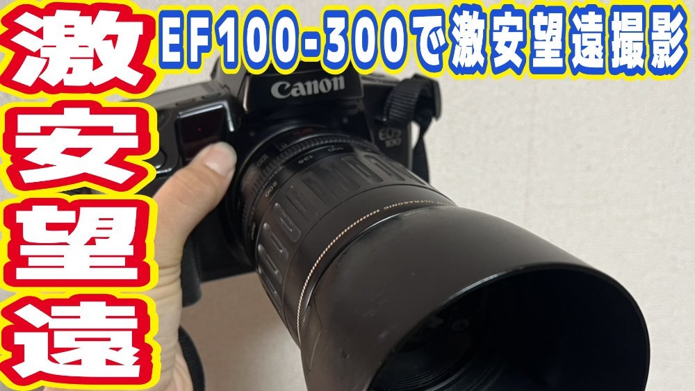 キヤノン EF100-300mm F4.5-5.6 USM レビュー写真